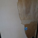 フスマの紙がボロボロです。